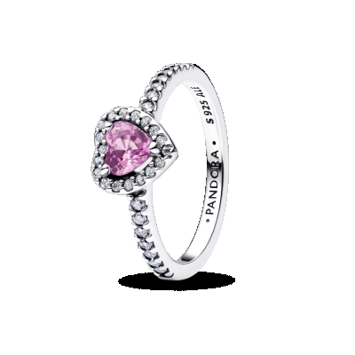 ANEL PANDORA ELEVATED HEART