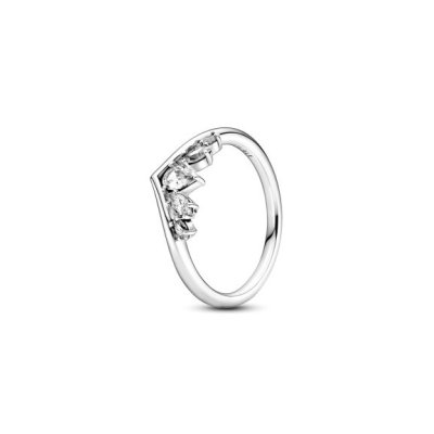 ANEL PANDORA - SPARKLING PEAR & MARQUISE WISHBONE 
